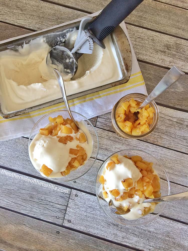 https://theothersideofthetortilla.com/wp-content/uploads/2015/05/mexican-vanilla-ice-cream-lechera-pineapple-TOSOTT.jpg