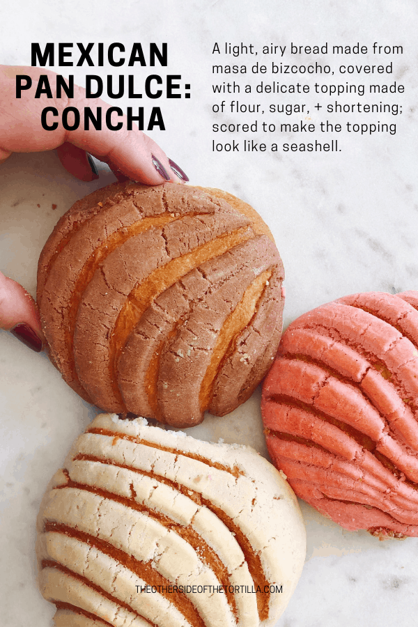 Conchas Mexican Concha Bread Bakery Pan Sweet Mexico