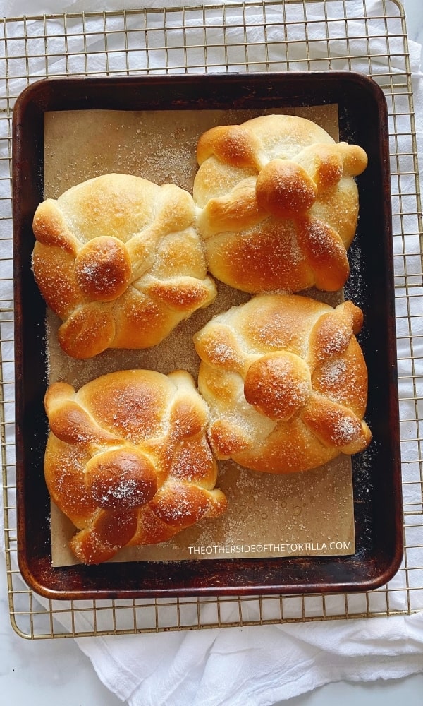 Mexican pan de muerto fresh from the oven on a baking sheet sitting atop a cooling rack