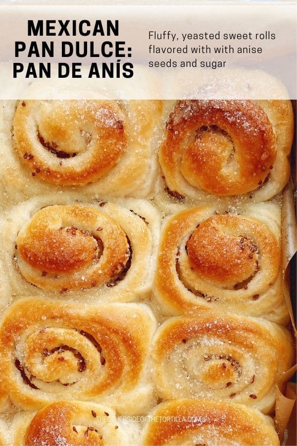 Mexican anise rolls