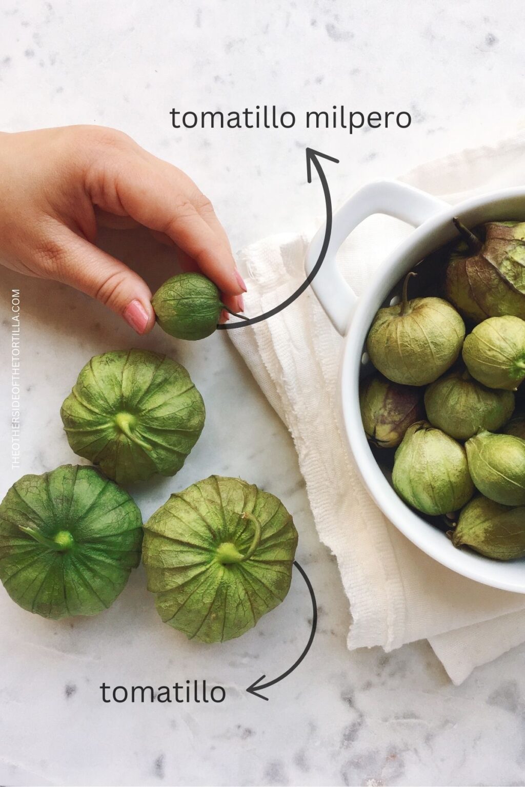 What are tomatillos? - The Other Side of the Tortilla